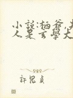 小说:栖爷,夫人是玄学大佬