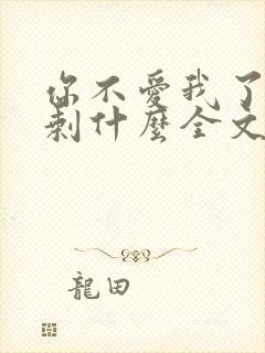 你不爱我了我还剩什么全文免费阅读封面