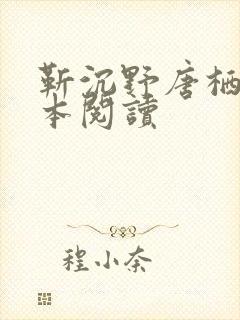 靳沉野唐栖雾全本阅读