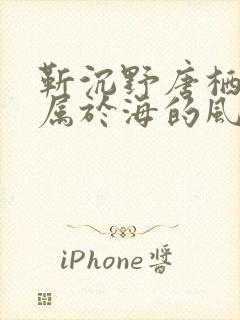 靳沉野唐栖雾不属于海的风