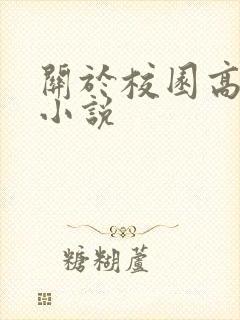关于校园高手的小说封面