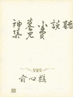 神墓小说听书全集免费