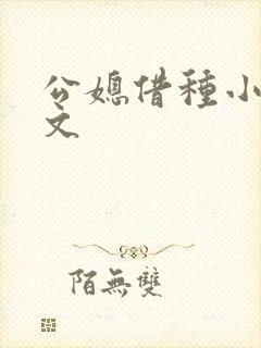 公媳借种小说h文