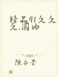 精品91久久久久,国内