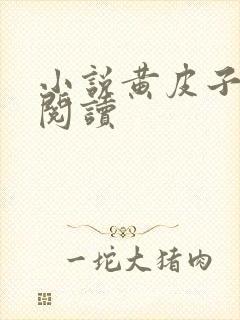 小说黄皮子全文阅读封面