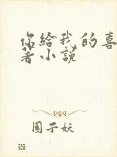 你给我的喜欢原著小说