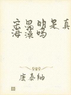 宋思明是真的爱海藻吗封面