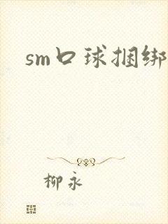 sm口球捆绑