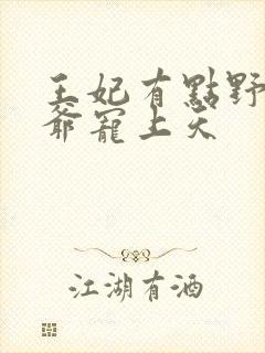 王妃有点野,王爷宠上天