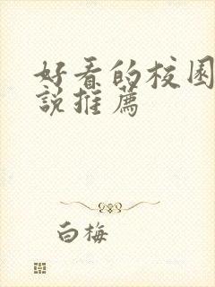 好看的校园文小说推荐封面