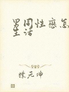 男同性恋怎样性生活