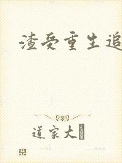 渣受重生追攻封面