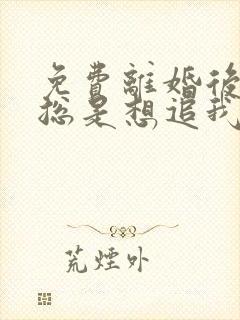 免费离婚后前夫总是想追我小说