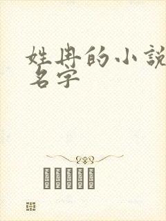 姓冉的小说女主名字封面