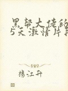 黑帮大佬的365天激情片段