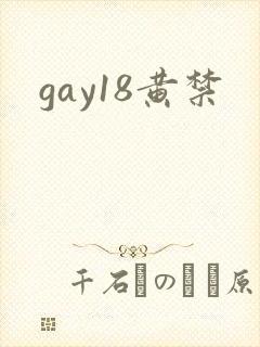gay18黄禁