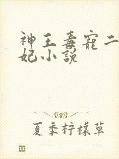 神王毒宠二嫁王妃小说