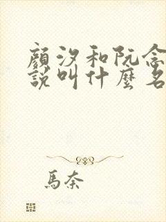 颜汐和阮念初小说叫什么名字