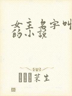 女主名字叫林薇的小说