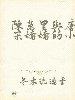 陈万里与唐嫣然宋娇娇的小说叫什么