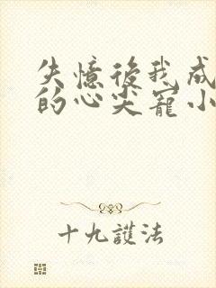 失忆后我成了他的心尖宠小说免费阅读