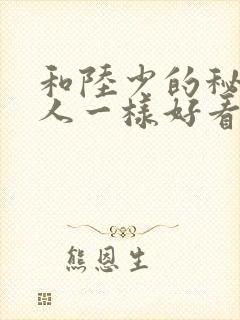 和陆少的秘密恋人一样好看的小说