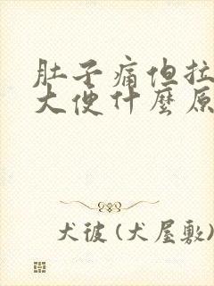 肚子痛但拉不出大便什么原因