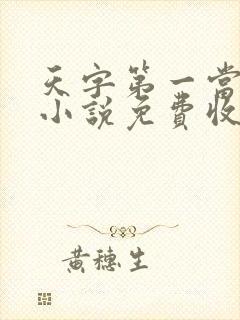 天字第一当有声小说免费收听