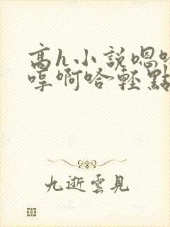 高h小说嗯哈嗯哼啊哈轻点