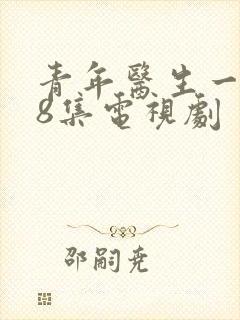 青年医生一共48集电视剧