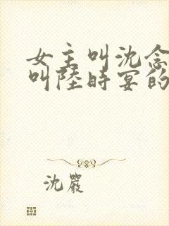 女主叫沈念男主叫陆时宴的小说