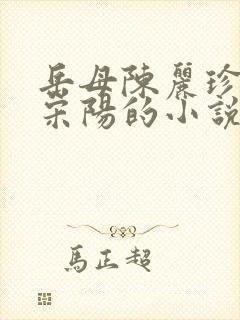 岳母陈丽珍女婿宋阳的小说金屋藏娇免费阅读封面