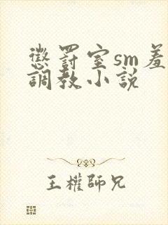 惩罚室sm羞刑调教小说