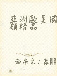 亚洲欧美国产另类精品