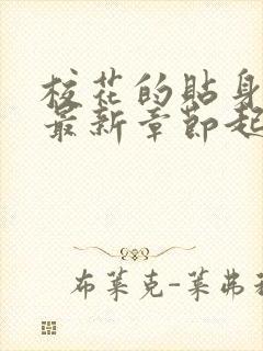 校花的贴身高手最新章节起点免费封面