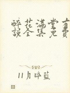 醉花满堂有声小说全集免费听书