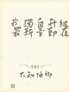 我独自升级小说最新章节在线阅读