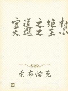 官道之绝对权力天选之主小说免费下载txt封面