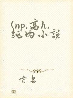 (np,高h,纯肉小说封面