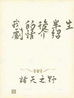 我的后半生分集剧情介绍封面