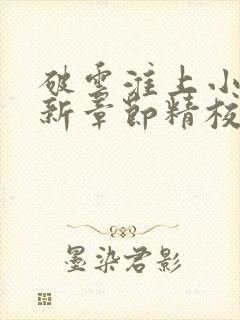 破云淮上小说最新章节精校版封面