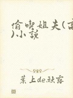 偷吃姐夫(高h)小说