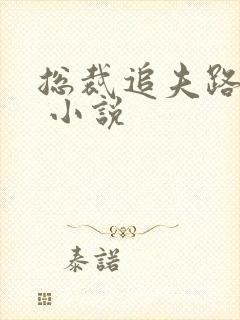 总裁追夫路漫漫 小说