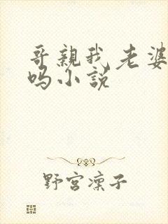 哥亲我老婆很爽吗小说