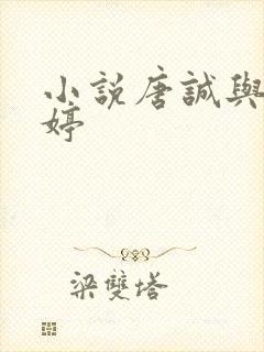 小说唐诚与马玉婷封面