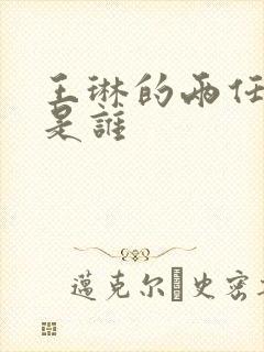 王琳的两任丈夫是谁