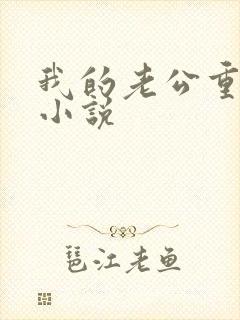 我的老公重生了小说