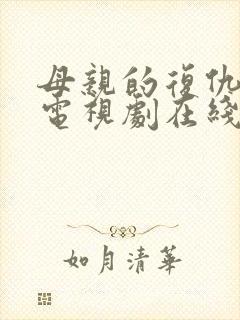 母亲的复仇泰剧电视剧在线看免费封面