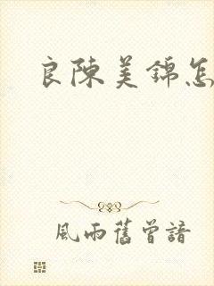 良陈美锦怎么样封面