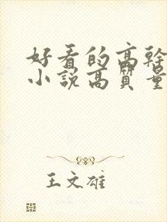 好看的高干言情小说高质量文笔好